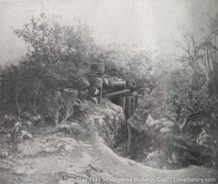 [Figure 16.--German Machine-gun Position (rear entrance)]