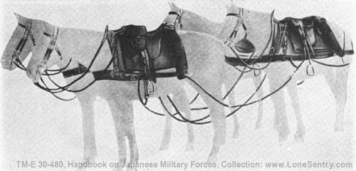 [Figure 336. 4 draught horse harness with saddles.]