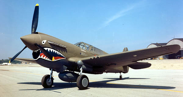 P-40 Warhawk WW2 Fighter Plane